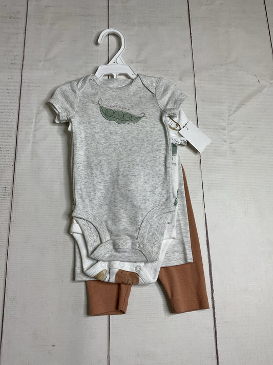 Carter's Size 3M 4pc. Outfit