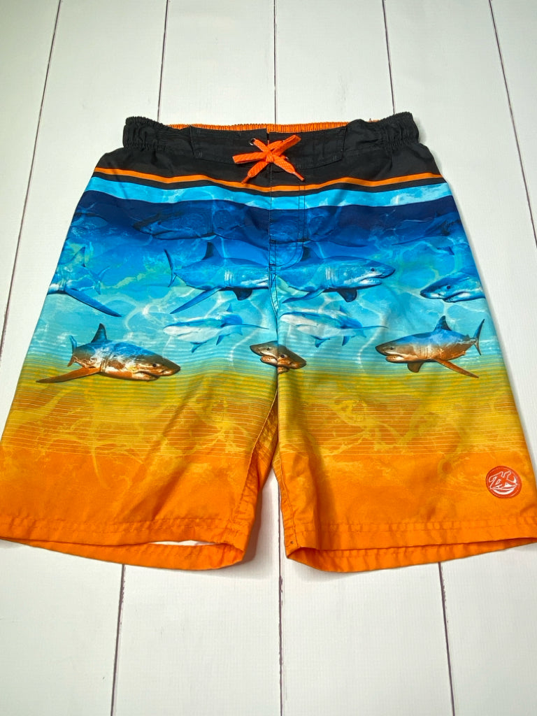 zeroxposur Size 14/16 Swim trunks