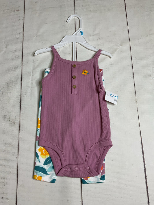 Carter's Size 6M 2pc Outfit