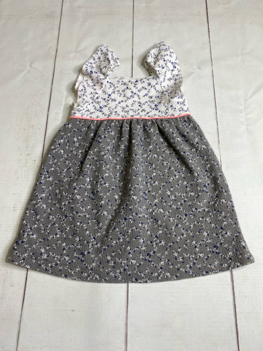 Zara Size 18/24M Dress