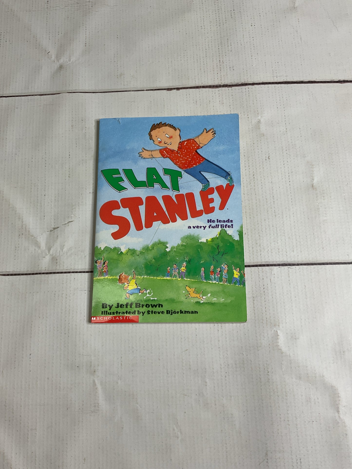 Flat Stanley Book